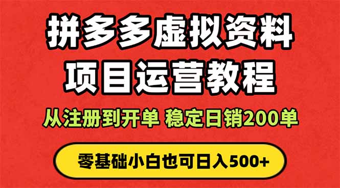 拼多多开店运营课程： 蓝海变现玩法，轻松实现睡后收入 零基础小白也可…-云网创