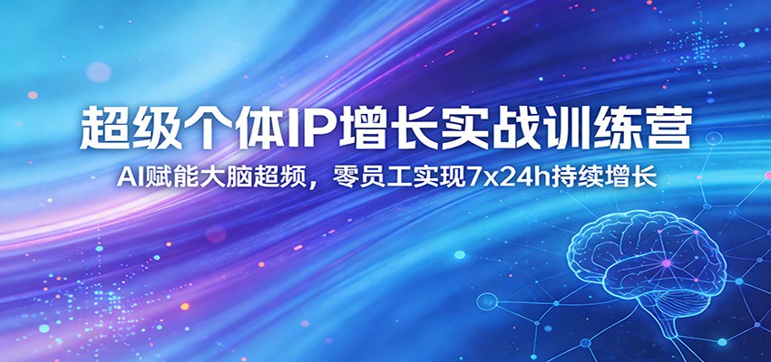 超级个体IP增长实战训练营：AI赋能大脑超频，零员工实现7x24h持续增长(更新)-云网创