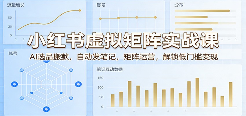 小红书虚拟矩阵实战课:AI选品搬款,自动发笔记,矩阵运营,解锁低门槛变现-云网创