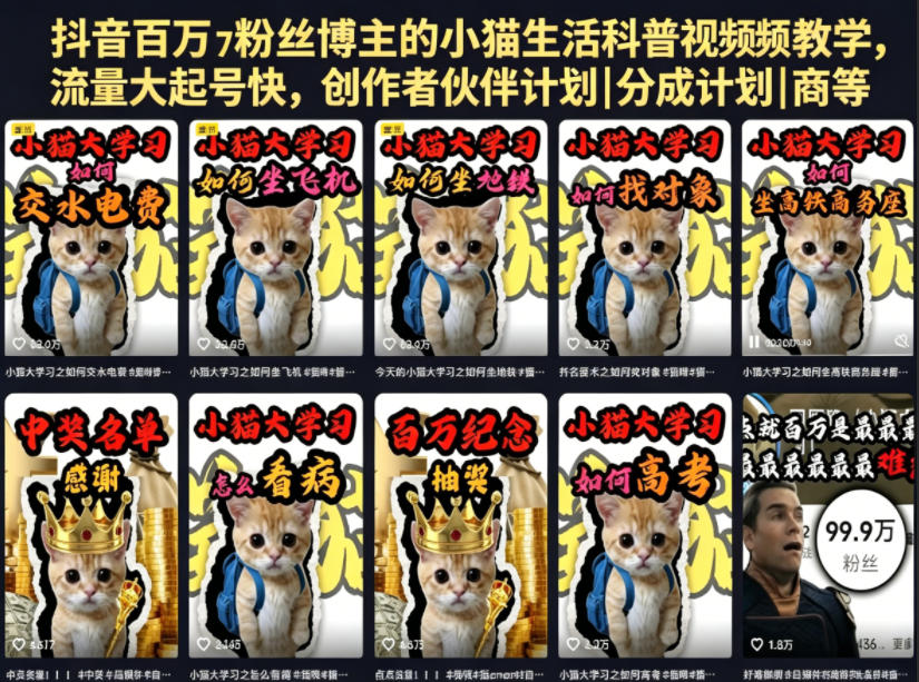 抖音百万粉丝博主的小猫生活科普视频教学,流量大起号快,创作者伙伴计划|分成计划|商单|收徒等-云网创