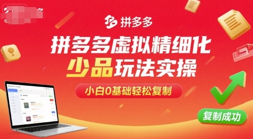 拼多多虚拟精细化少品玩法实操，小白0基础轻松复制-云网创