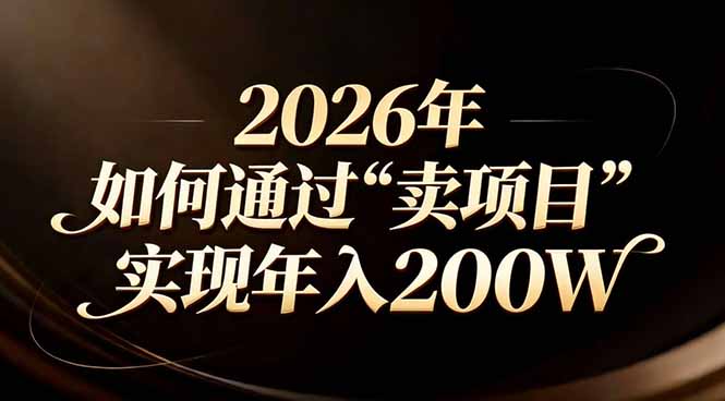 站在2026年的十字路口:一个普通人如何通过卖项目实现年入200万-云网创