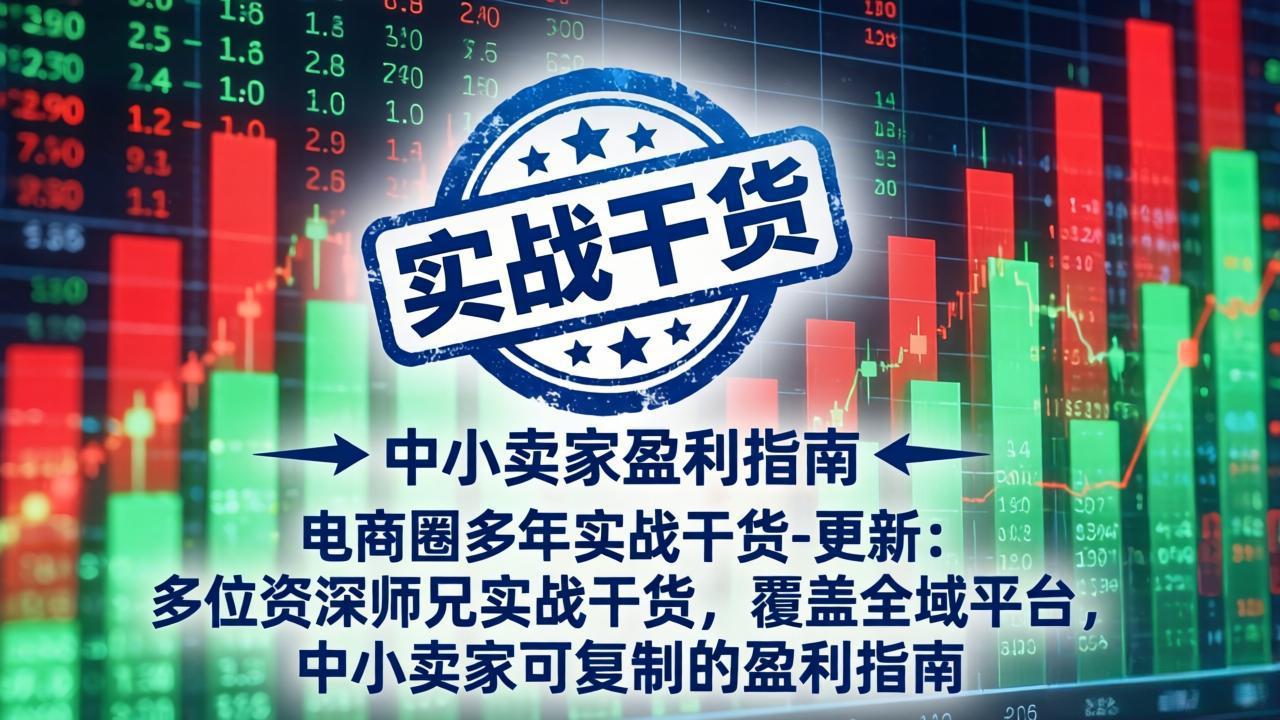 电商圈多年实战干货-更新5月20:多位资深师兄实战干货/覆盖全域平台,中小卖家可复制的盈利指南-云网创