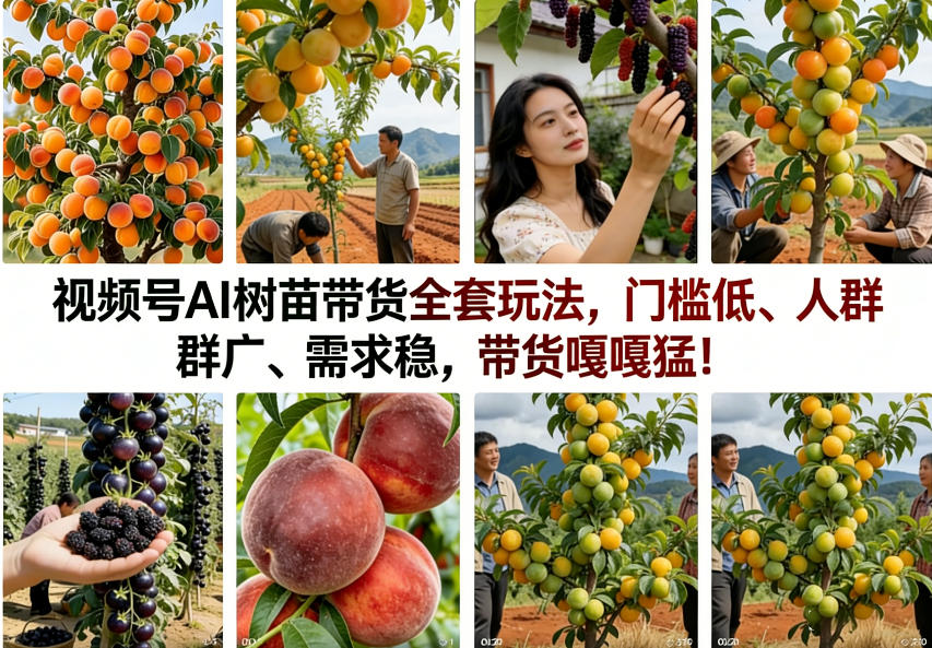 视频号AI树苗带货全套玩法,门槛低、人群广、需求稳,带货嘎嘎猛!-云网创