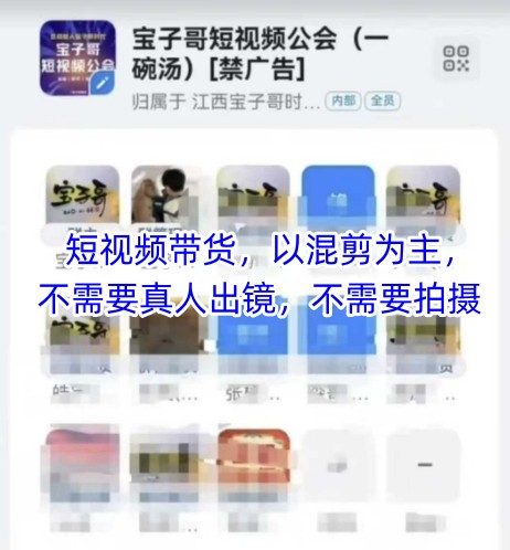 宝子哥头部团队短视频带货,以混剪为主,不需要真人出镜,不需要拍摄【更新26年3月】-云网创