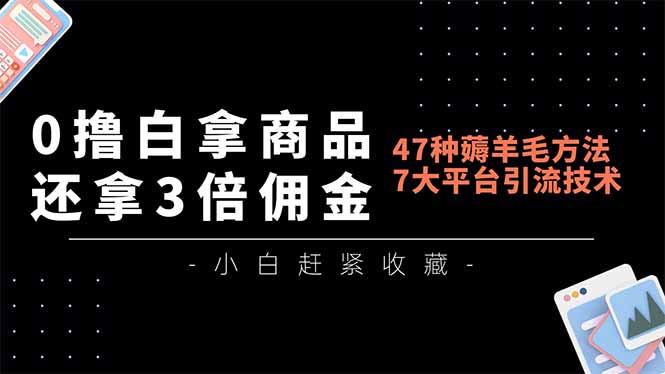 0撸白拿商品，还拿3倍佣金，47种薅羊毛方法，7大平台全方位引流技术教学，精专月入过万-云网创