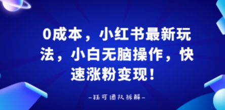 0成本，小红书最新玩法，小白无脑操作，快速涨粉变现-云网创