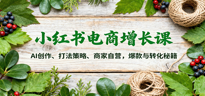 小红书电商增长课：AI创作、打法策略、商家自营，爆款与转化秘籍-云网创