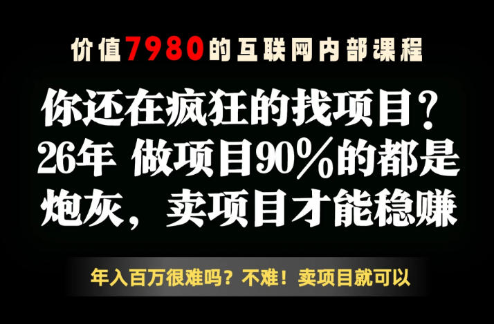 26年请不要疯狂的找项目了，卖项目远比你想象的暴利，你也可以月入10W+【揭秘】-云网创