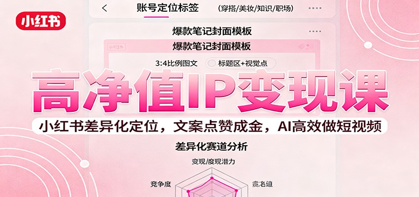 高净值IP变现课：小红书差异化定位，文案点赞成金， AI高效做短视频-云网创