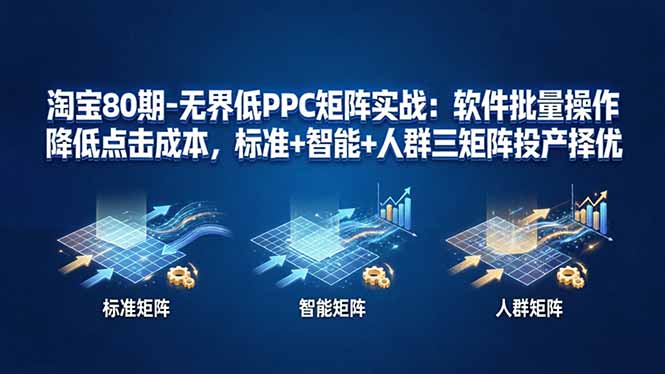 淘宝80期-无界低PPC矩阵实战:软件批量操作降低点击成本,标准+智能+人群三矩阵投产择优-云网创