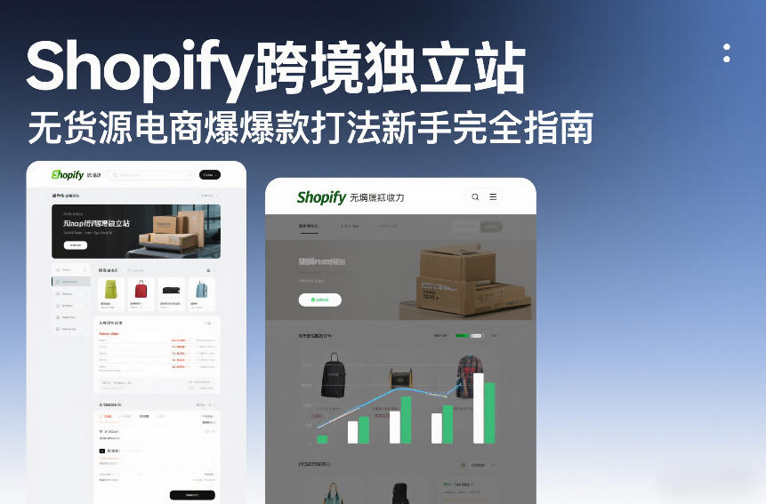 Shopify跨境独立站无货源电商爆款打法新手完全指南-云网创