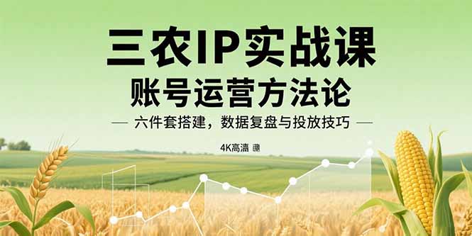 三农IP实战课:账号运营方法论,六件套搭建,数据复盘与投放技巧-云网创