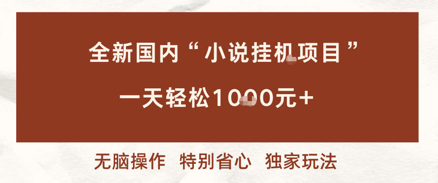 全新国内小说挂G项目,多窗口无脑跑,一天轻松1k+,特别省心【揭秘】-云网创