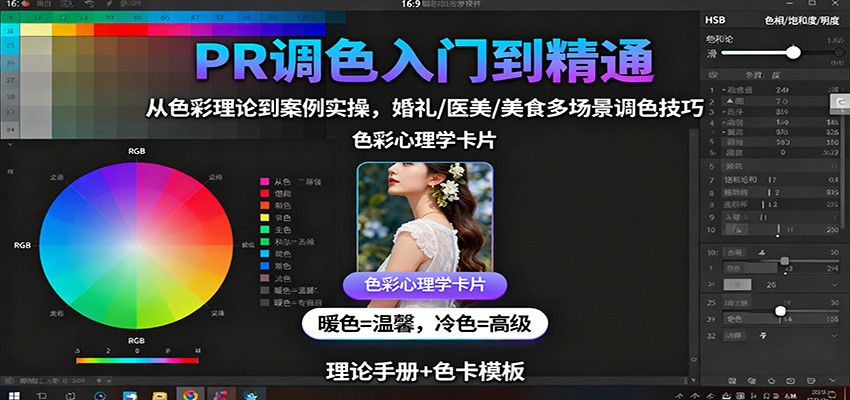 PR调色入门到精通：从色彩理论到案例实操，婚礼/医美/美食多场景调色技巧-云网创