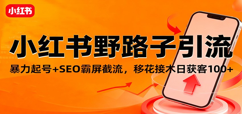 小红书野路子引流，暴力起号+SEO霸屏截流，移花接木日获客100+-云网创