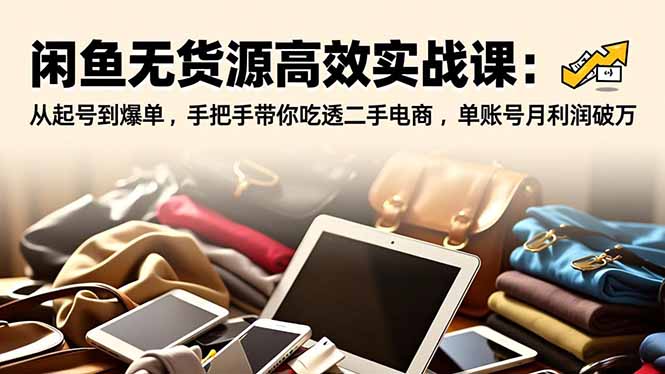 闲鱼无货源高效实战课：从起号到爆单，手把手带你吃透二手电商，单账号月利润破万-云网创