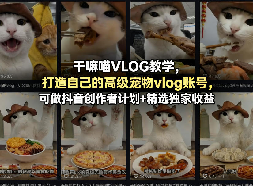 干嘛喵VLOG教学,打造自己的高级宠物vlog账号,可做抖音创作者计划+精选独家收益-云网创