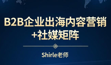 shirle老师·B2B企业出海内容营销+社媒矩阵-云网创