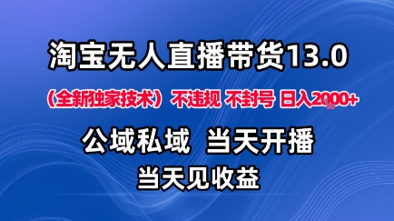 淘宝无人直播13.0，公域私域技术，不封号，不违规布局下半年旺季赛道，日入1K+(独家技术)【揭秘】-云网创
