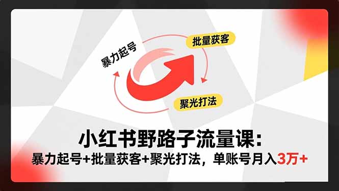 小红书野路子流量课：暴力起号+批量获客+聚光打法，单账号月入3万+-云网创