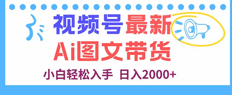视频号最新AI图文带货，每天几分钟，小白轻松入手，日入2000+-云网创