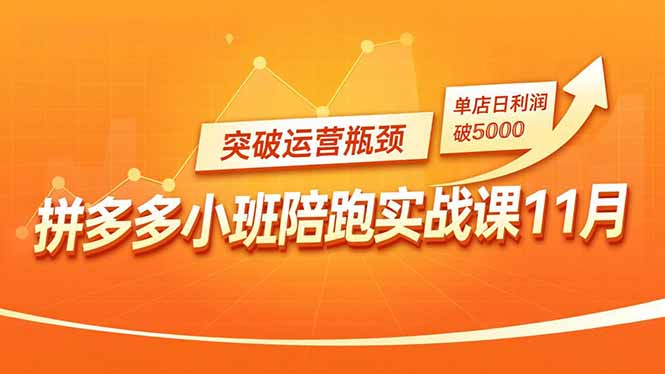 拼多多小班陪跑实战课11月,强付费矩阵、原价活动、暗券引流,突破运营瓶颈,单店日利润破5000-云网创