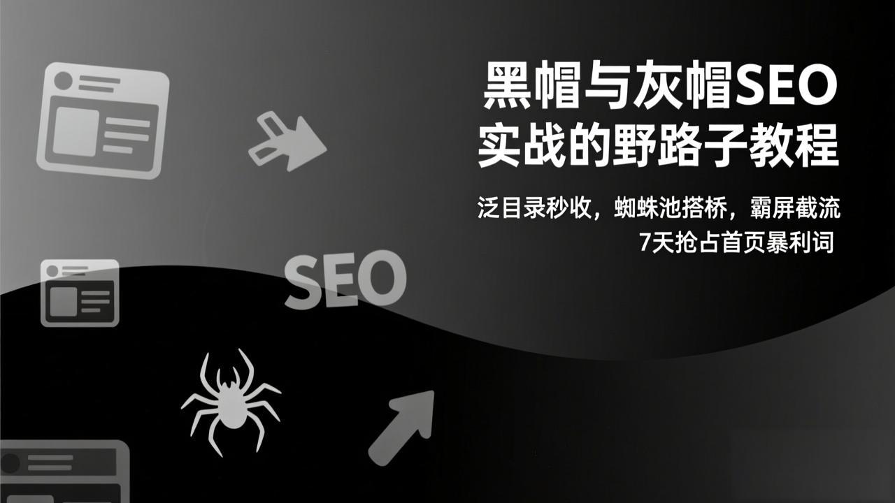 黑帽与灰帽SEO实战的野路子教程:泛目录秒收,蜘蛛池搭桥,霸屏截流,7天抢占首页暴利词-云网创
