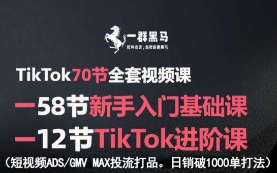 TikTok全套视频课，新手入门+进阶课，短视频ADS-GMV MAX投流打品，日销破1000单打法-云网创