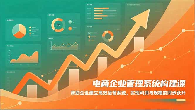 电商企业管理系统构建课:帮助企业建立高效运营系统,实现利润与规模的同步跃升-云网创