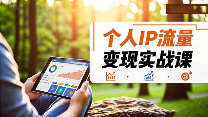 个人IP流量变现实战课,涵盖多平台引流、打造个人IP并实现稳定流量变现-云网创