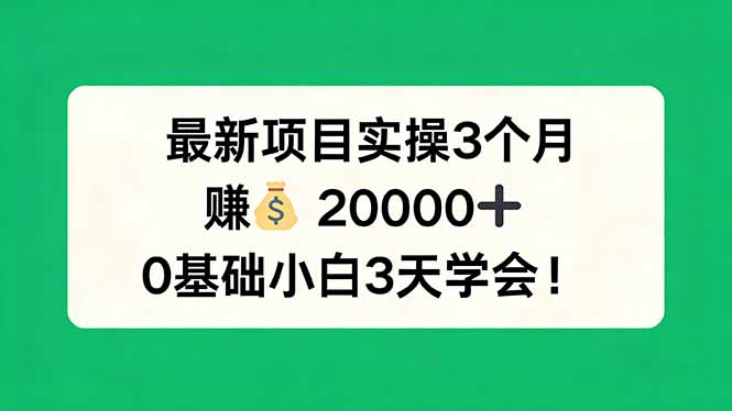 最新项目实操3个月，赚钱20000+，0基础小白3天学会！-云网创