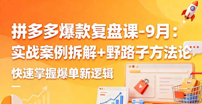 拼多多爆款复盘课-9月:实战案例拆解+野路子方法论,快速掌握爆单新逻辑-云网创