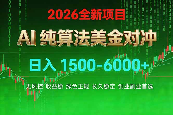 2026 全新美金对冲项目,不套平台赠金,不封号,纯算法对冲,日入 1500-6000+-云网创