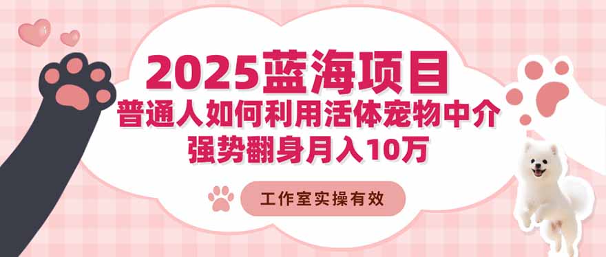 2025蓝海项目:普通人如何利用活体宠物中介,强势翻身月入10万-云网创