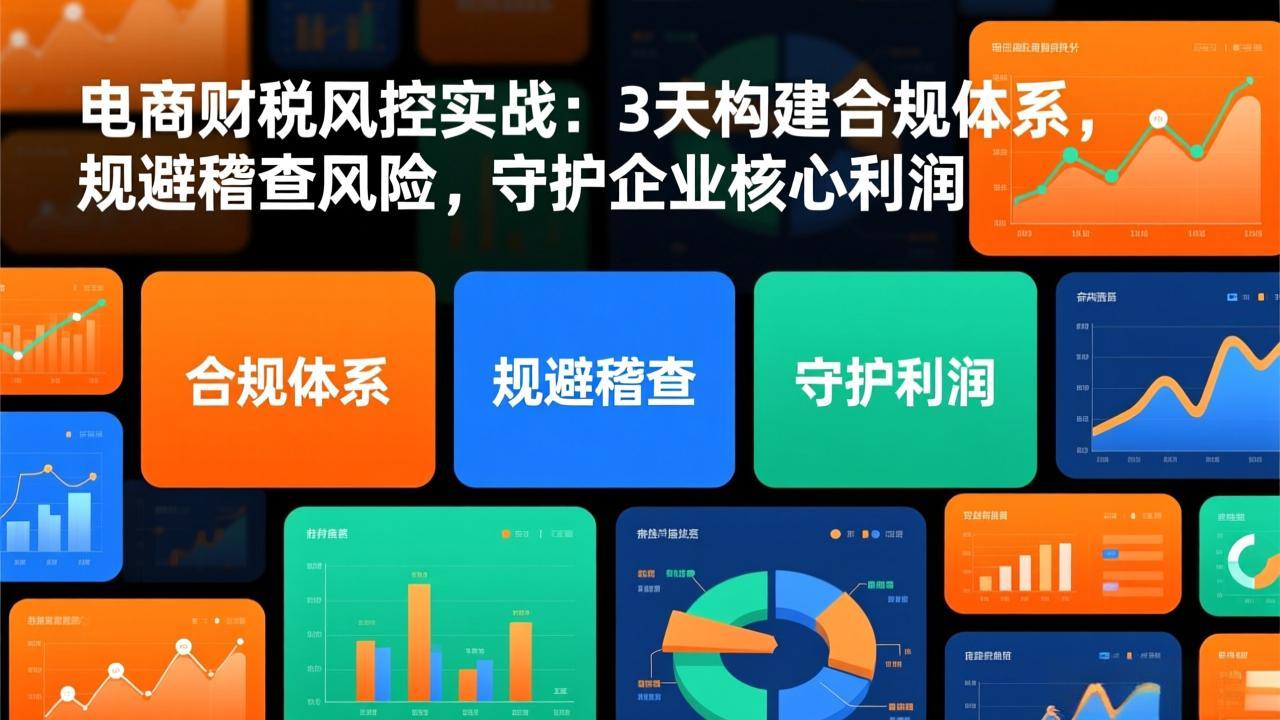 电商财税风控实战:3天构建合规体系,规避稽查风险,守护企业核心利润-云网创