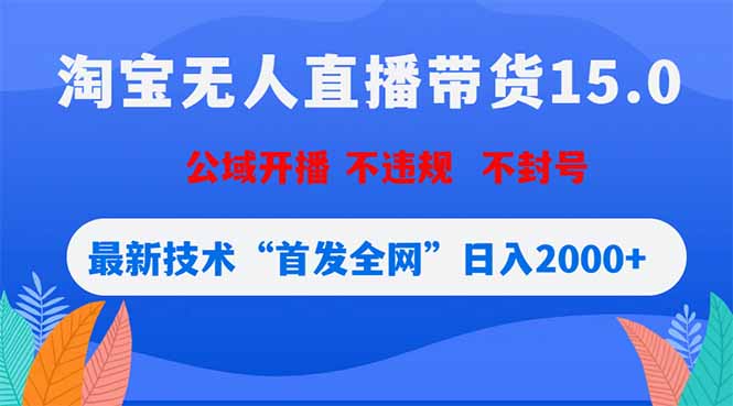 淘宝无人直播带货15.0,不封号,不违规,公域玩法,首发全网日入2000+-云网创