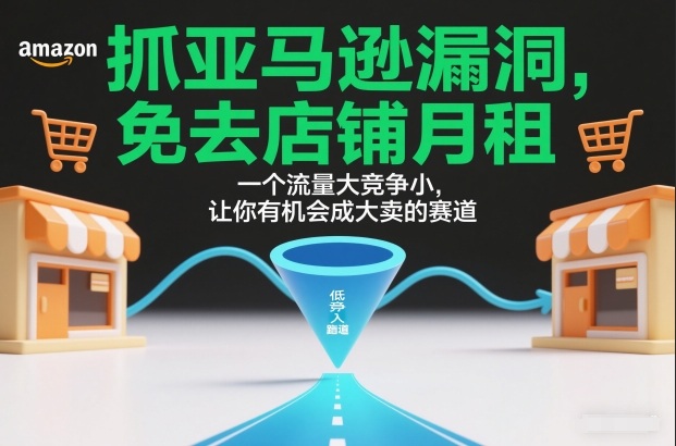 抓亚马逊漏洞，免去店铺月租，一个流量大竞争小，让你有机会成大卖的赛道-云网创